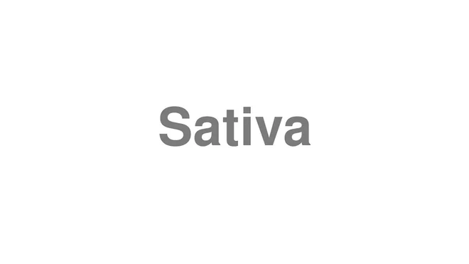 How to Pronounce Sativa
