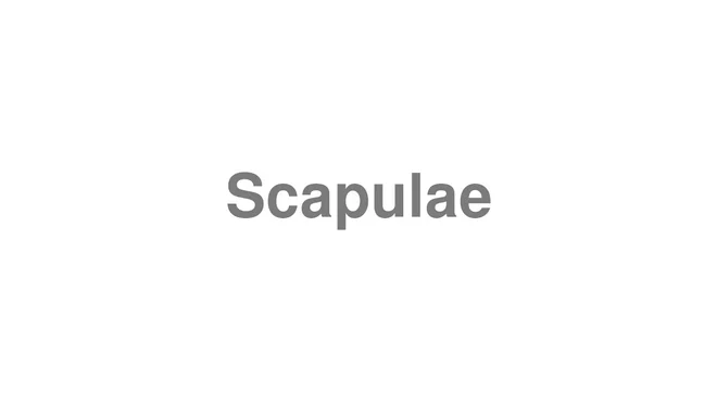 How to Pronounce Scapulae