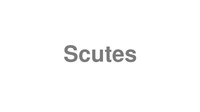 How to Pronounce Scutes