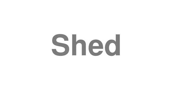 How to Pronounce Shed