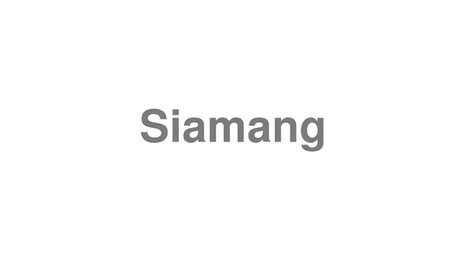 How to Pronounce Siamang
