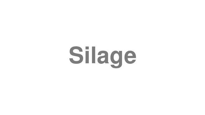 How to Pronounce Silage