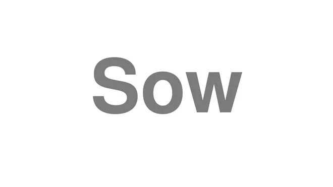 How to Pronounce Sow
