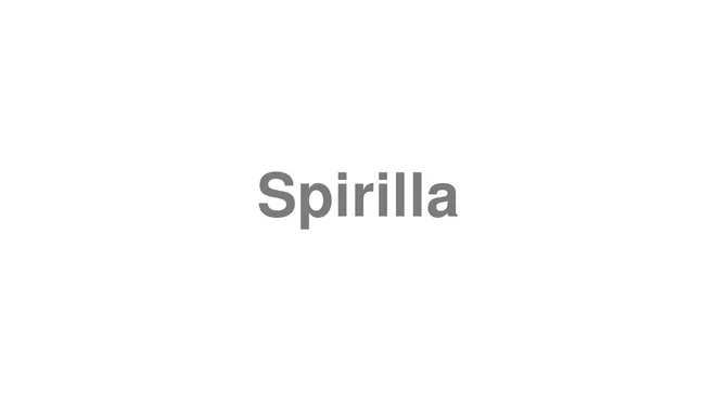 How to Pronounce Spirilla