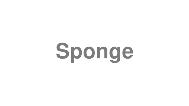 How to Pronounce Sponge
