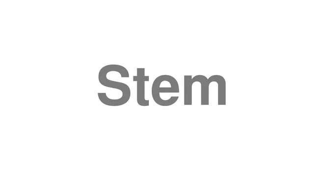 How to Pronounce Stem