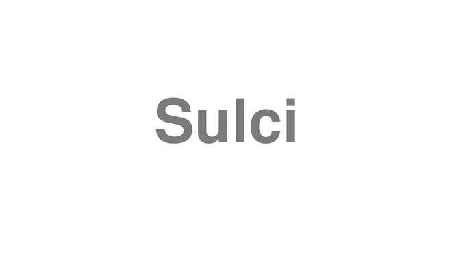 How to Pronounce Sulci
