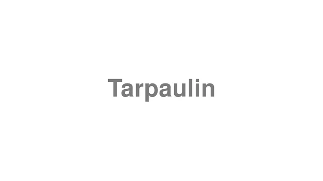 How to Pronounce Tarpaulin
