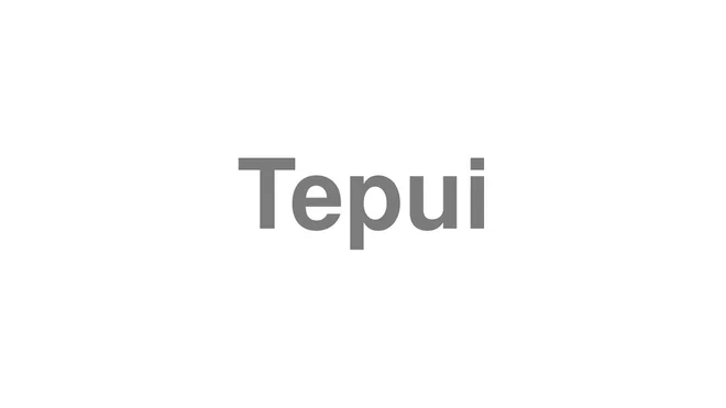 How to Pronounce Tepui