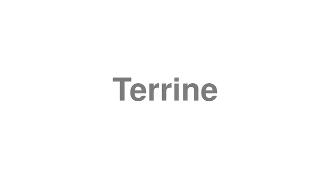 How to Pronounce Terrine