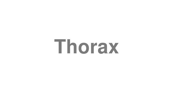 How to Pronounce Thorax