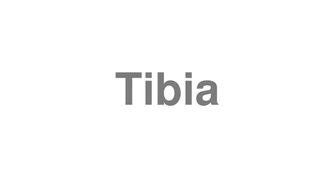 How to Pronounce Tibia