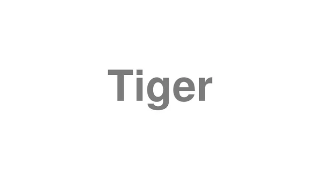How to Pronounce Tiger