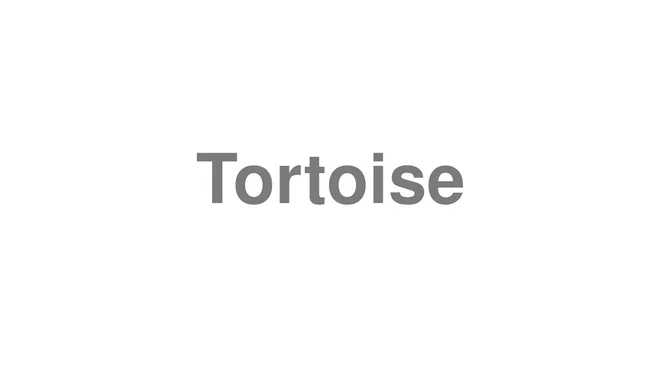 How to Pronounce Tortoise