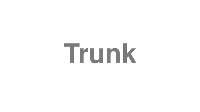 How to Pronounce Trunk
