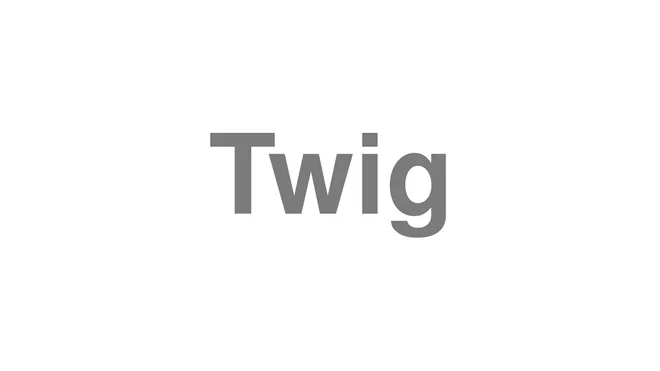 How to Pronounce Twig
