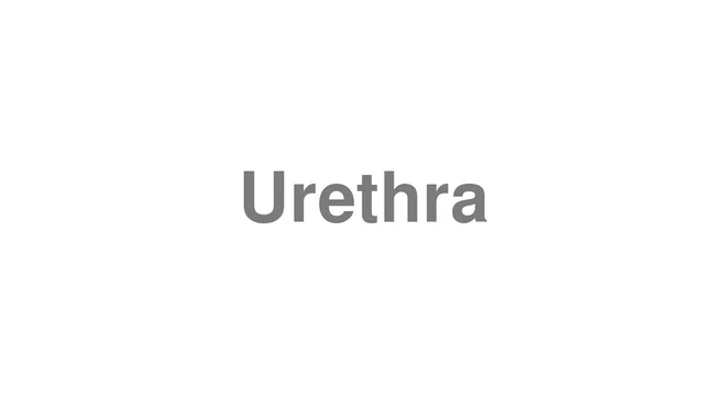 How to Pronounce Urethra