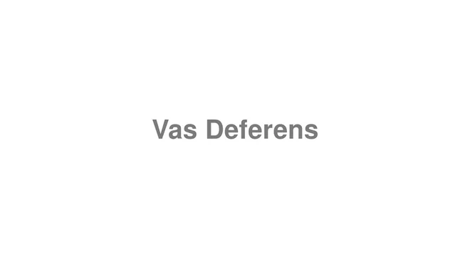 How to Pronounce Vas Deferens
