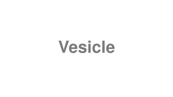 How to Pronounce Vesicle