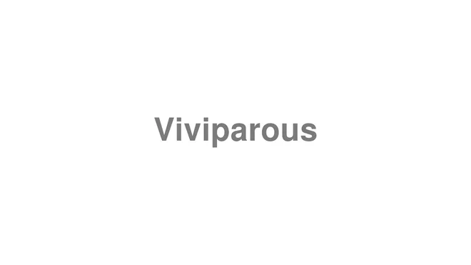 How to Pronounce Viviparous