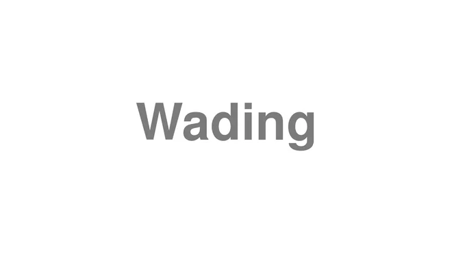 How to Pronounce Wading
