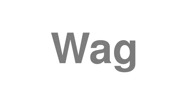 How to Pronounce Wag