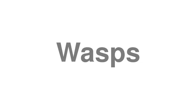 How to Pronounce Wasps