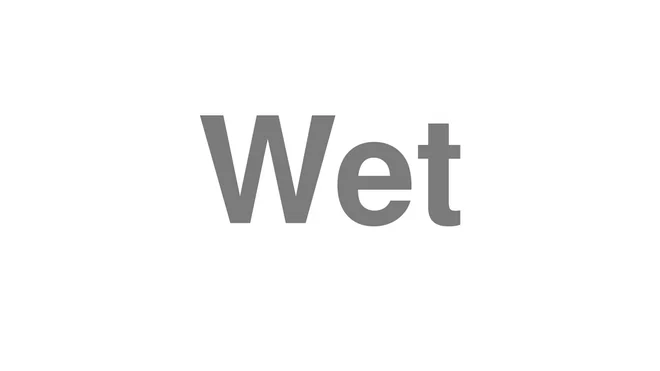 How to Pronounce Wet