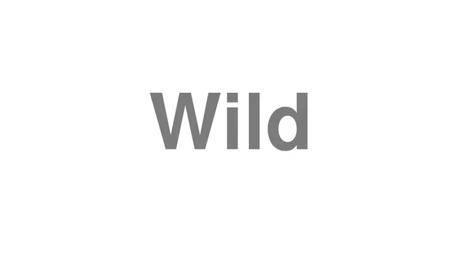 How to Pronounce Wild