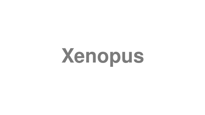 How to Pronounce Xenopus