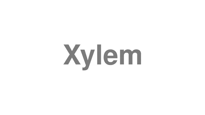 How to Pronounce Xylem