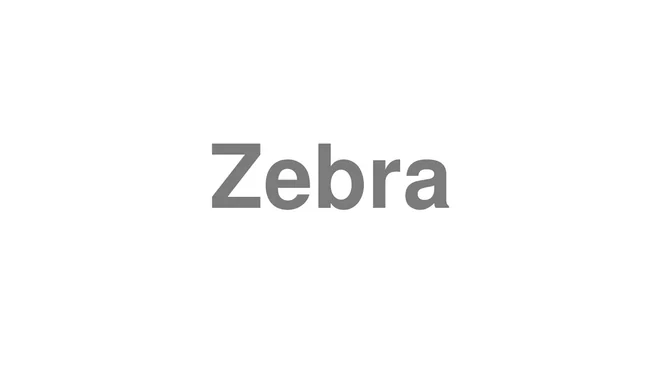 How to Pronounce Zebra