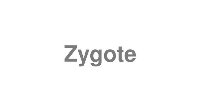 How to Pronounce Zygote